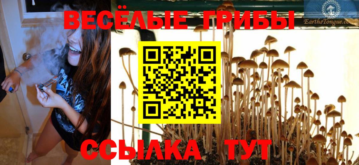 Галлюциногенные грибы Cubensis  Вход с VPN  Томск  Галлюциногенные грибы мухоморы 